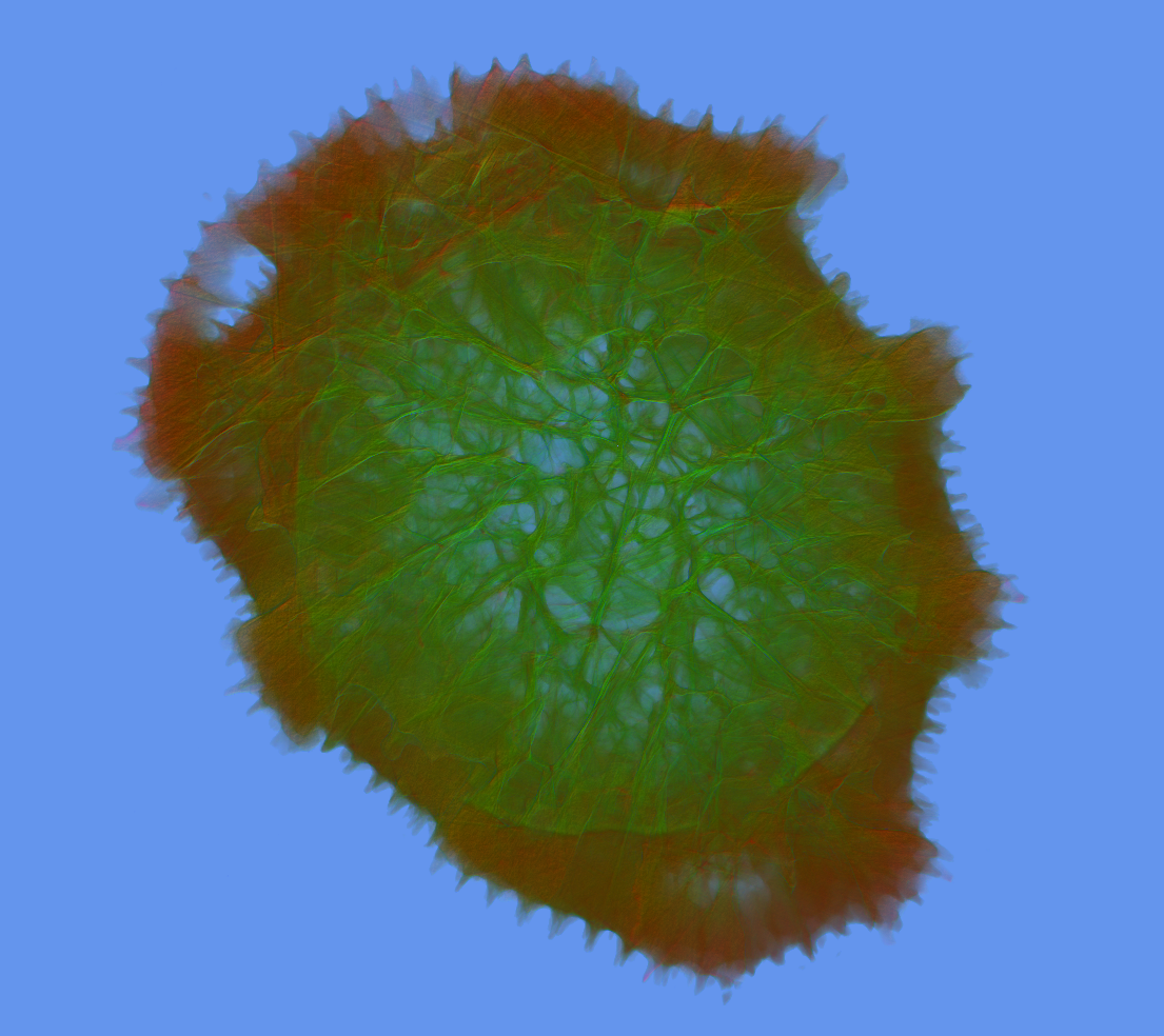 Jinsoku Visualization Engine